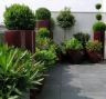 Terrasse parisienne