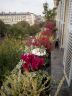  création Jardinière de saison Paris