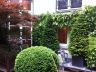 Création et entretien terrasse parisienne