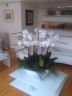 Création coupe orchidées