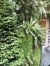 naturel extérieur  création Jardin d'Edgar pour particulier
